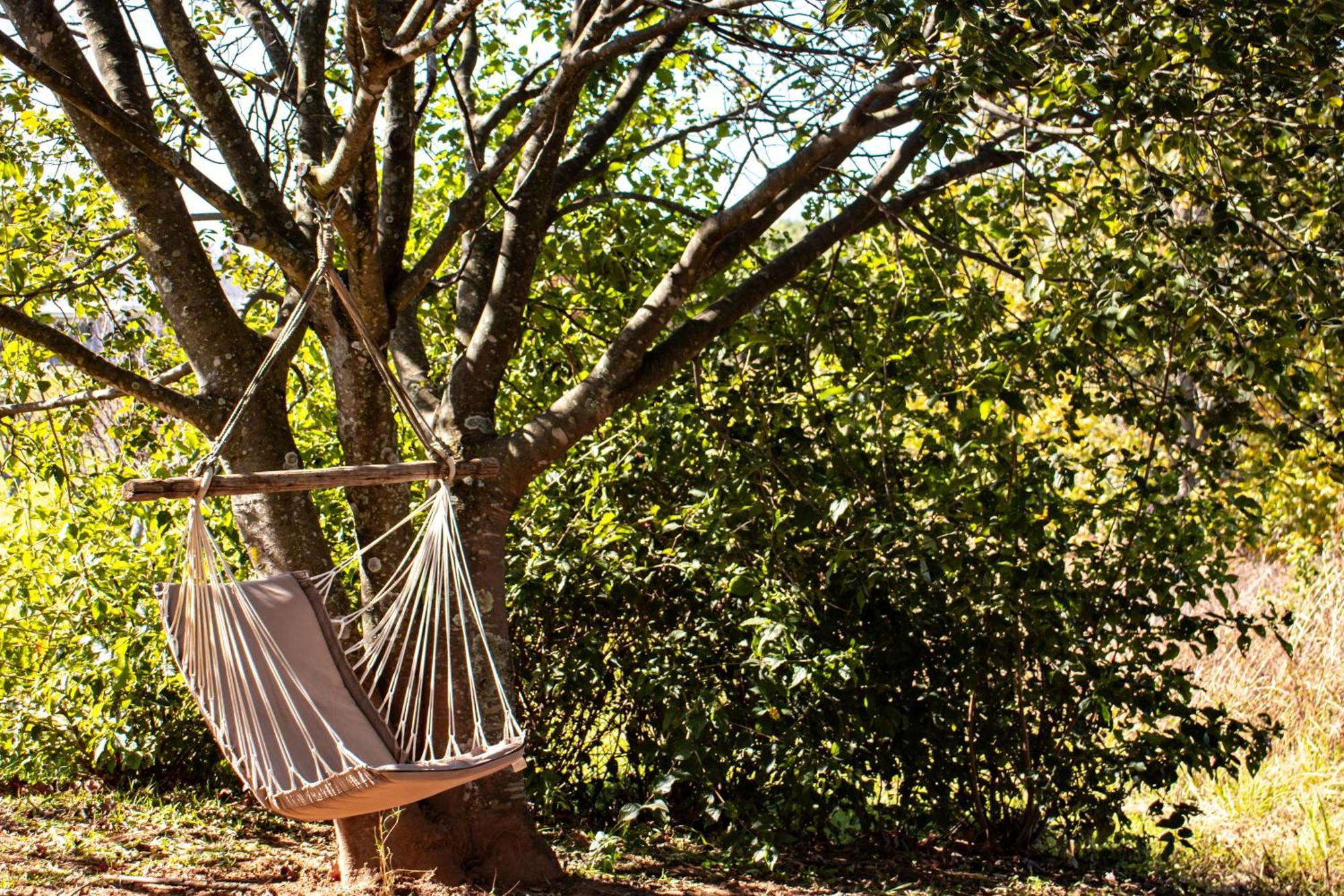 Tranquility Farmstays Winterton Buitenkant foto